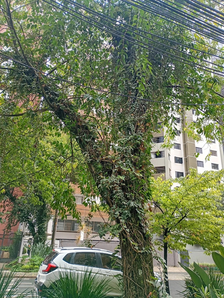 Image uploaded by Vickye