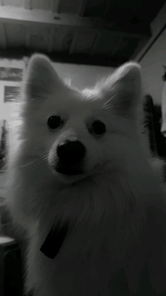 GIF uploaded by HRISHI