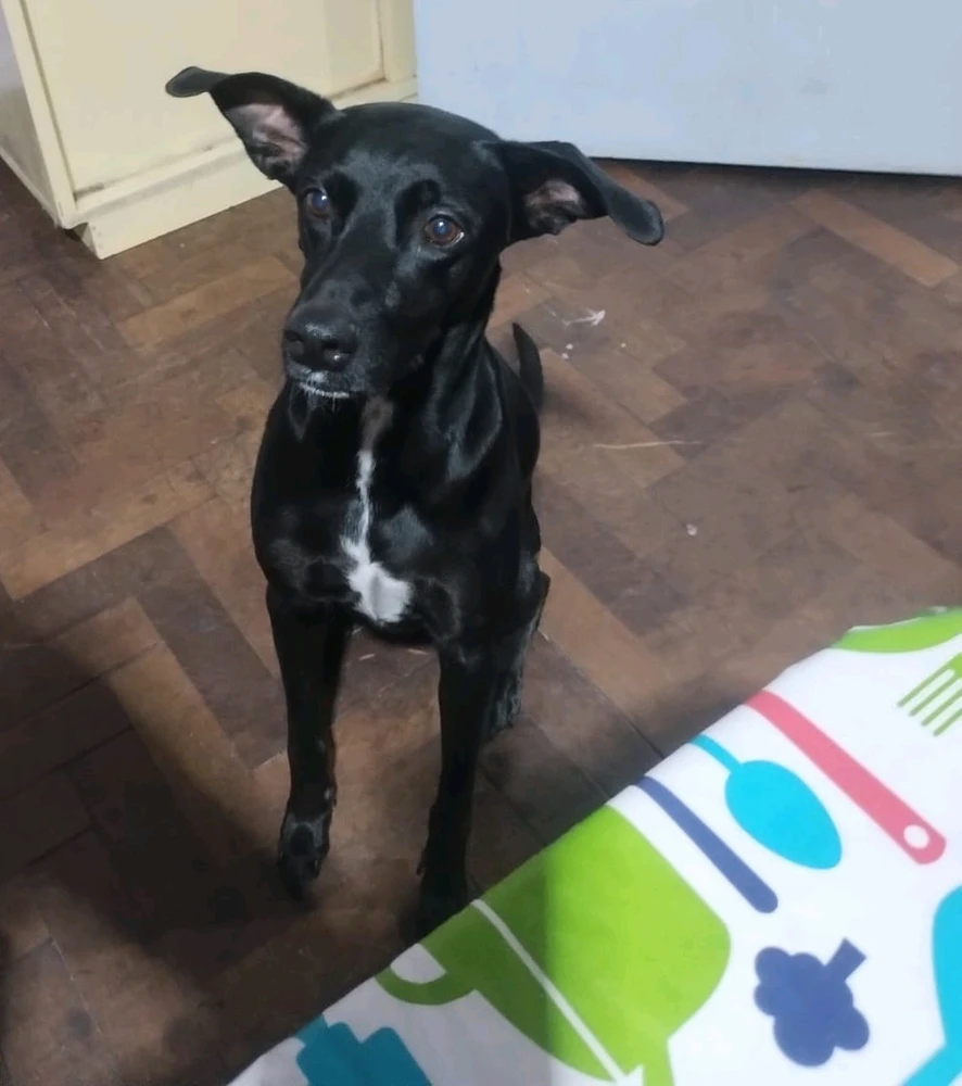 GIF subido por Melina Evelyn