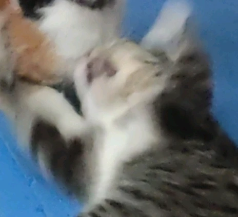 GIF uploaded by Daniel