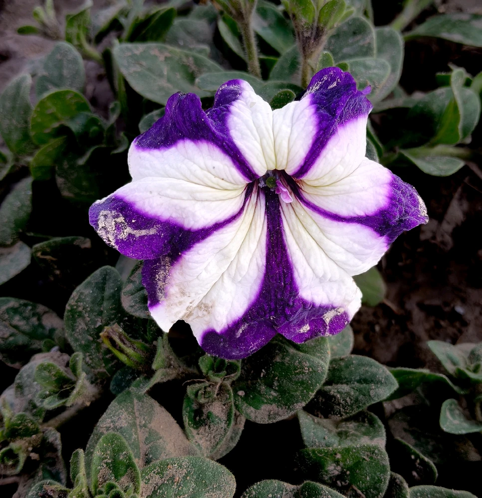 GIF uploaded by Garv