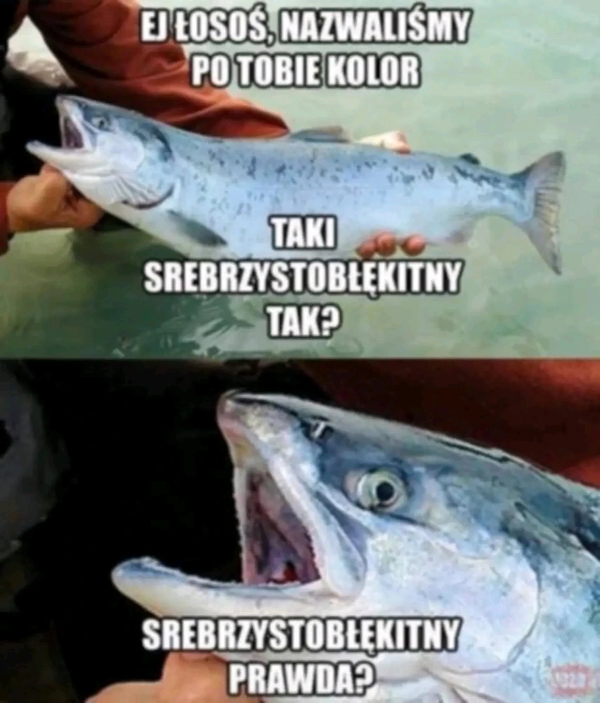 GIF dodany przez Hugo