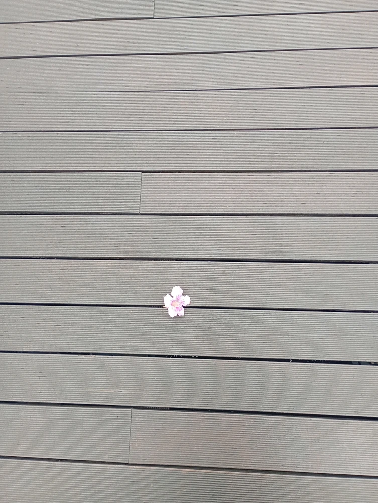 Image uploaded by Vickye