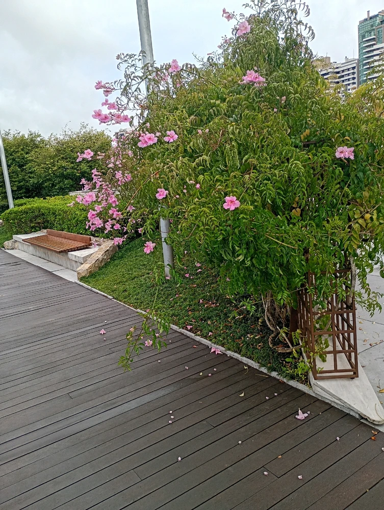 Image uploaded by Vickye