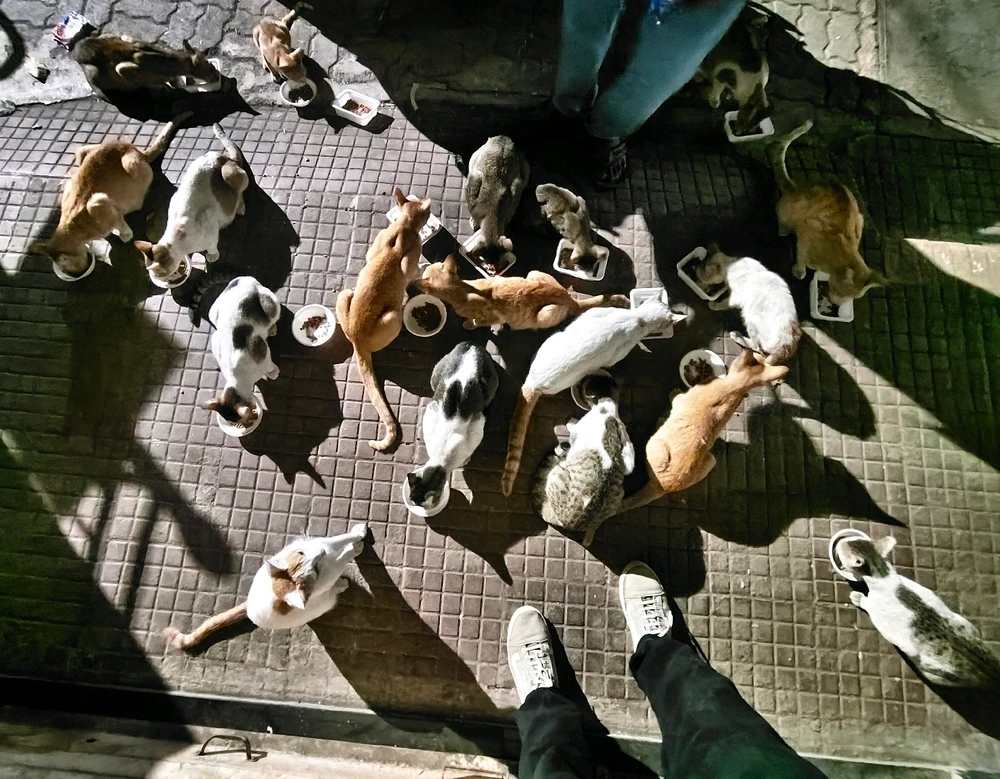 GIF uploaded by Prabhat