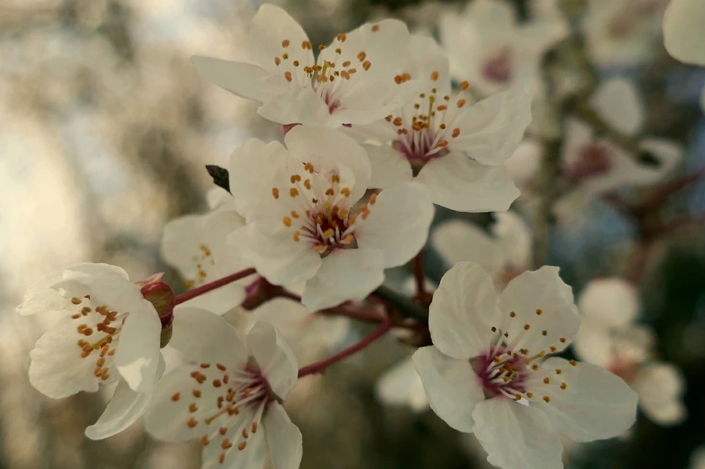 GIF ajouté par Oriane