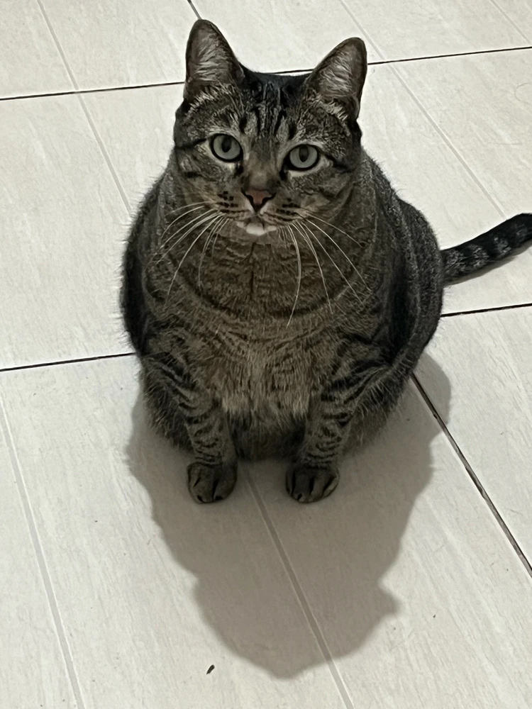 GIF enviado por Snow