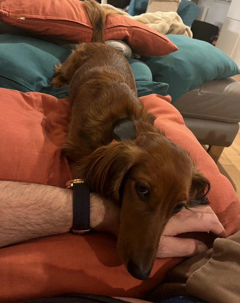 GIF ajouté par Baliste