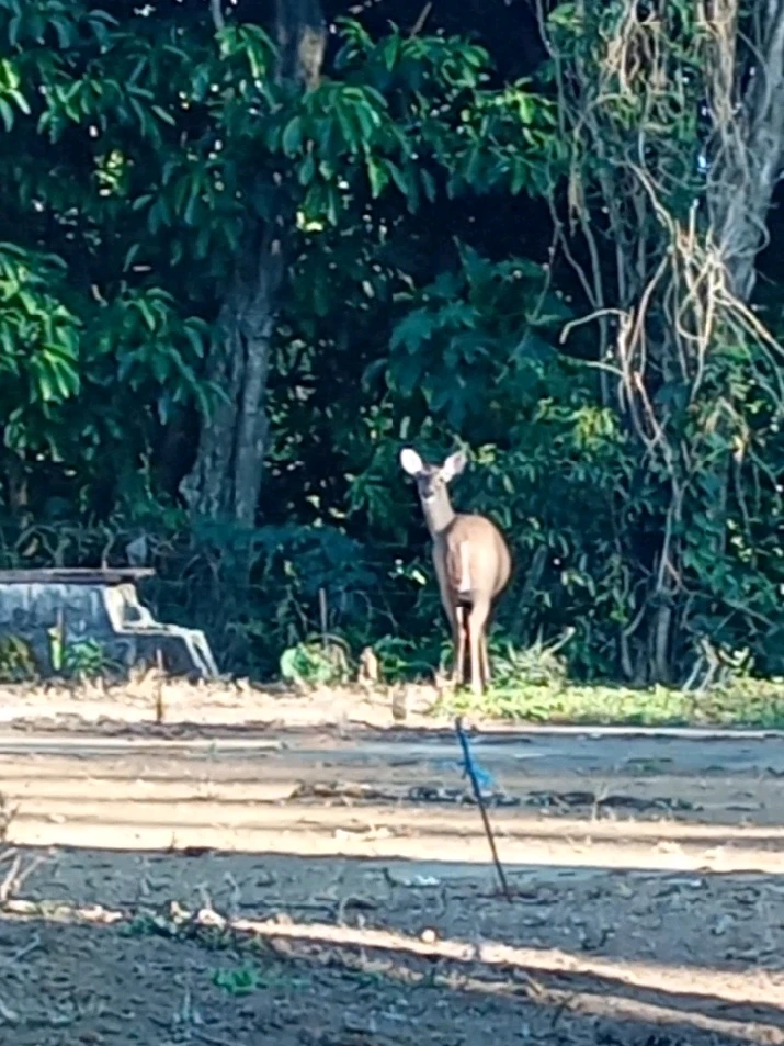 GIF subido por Cristal