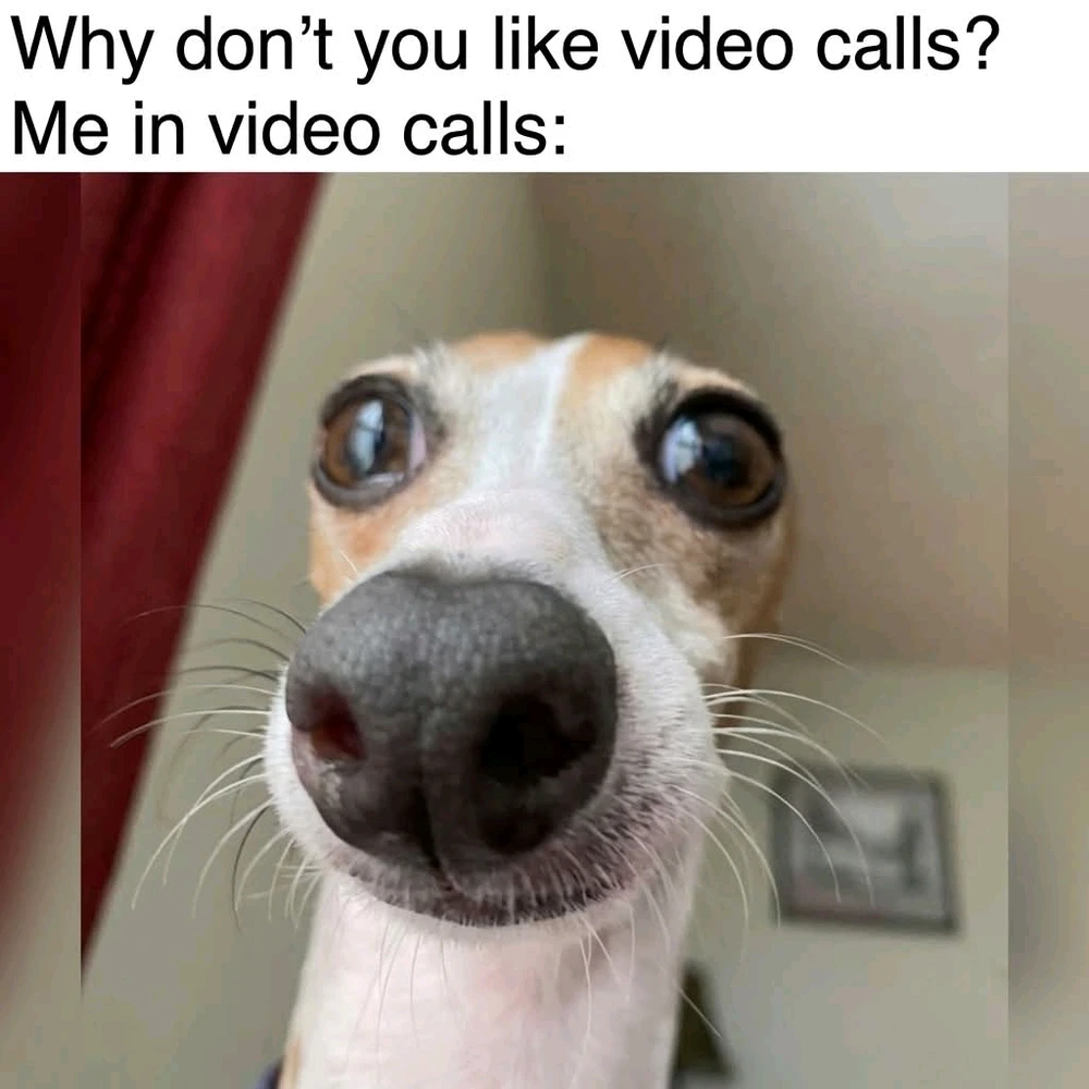 GIF uploaded by Sonny