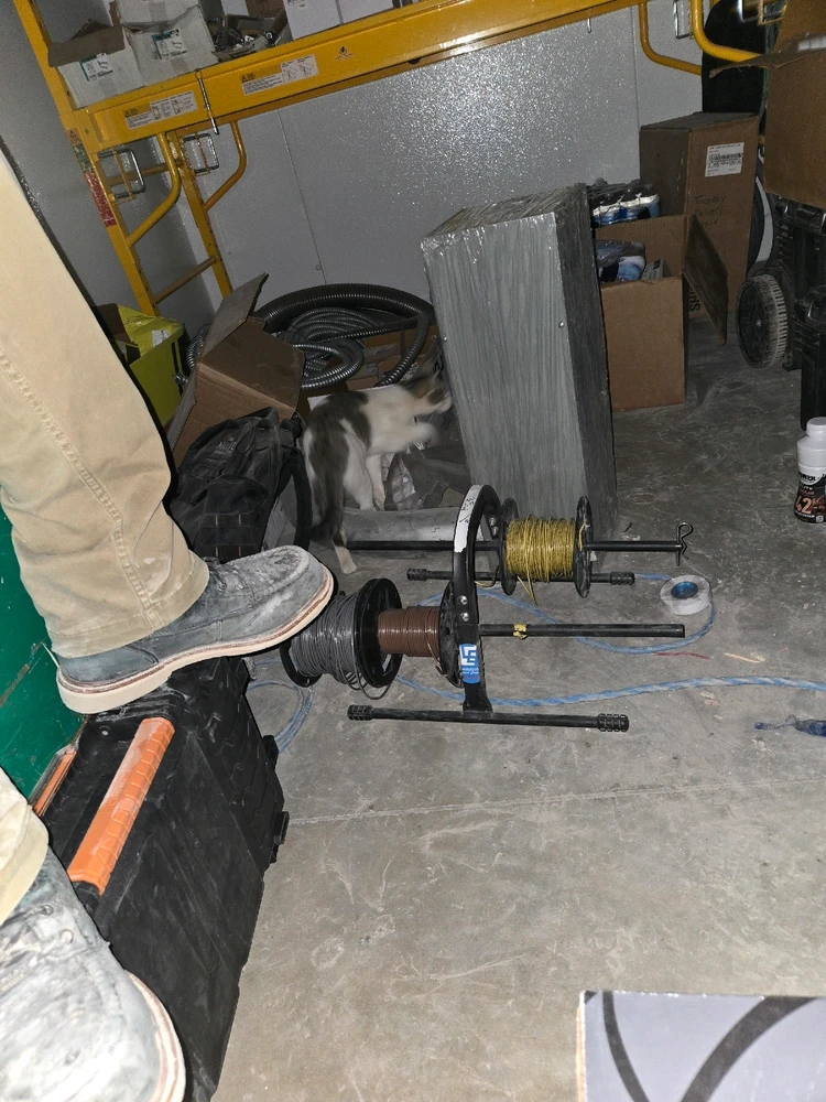 Image uploaded by Steven