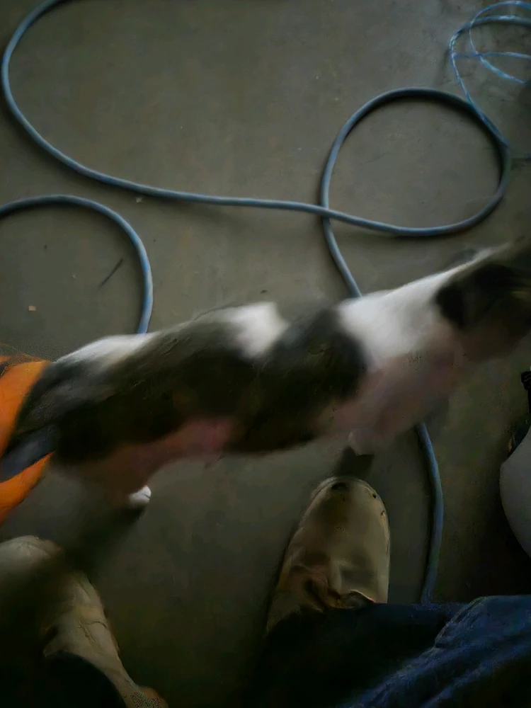 Image uploaded by Steven