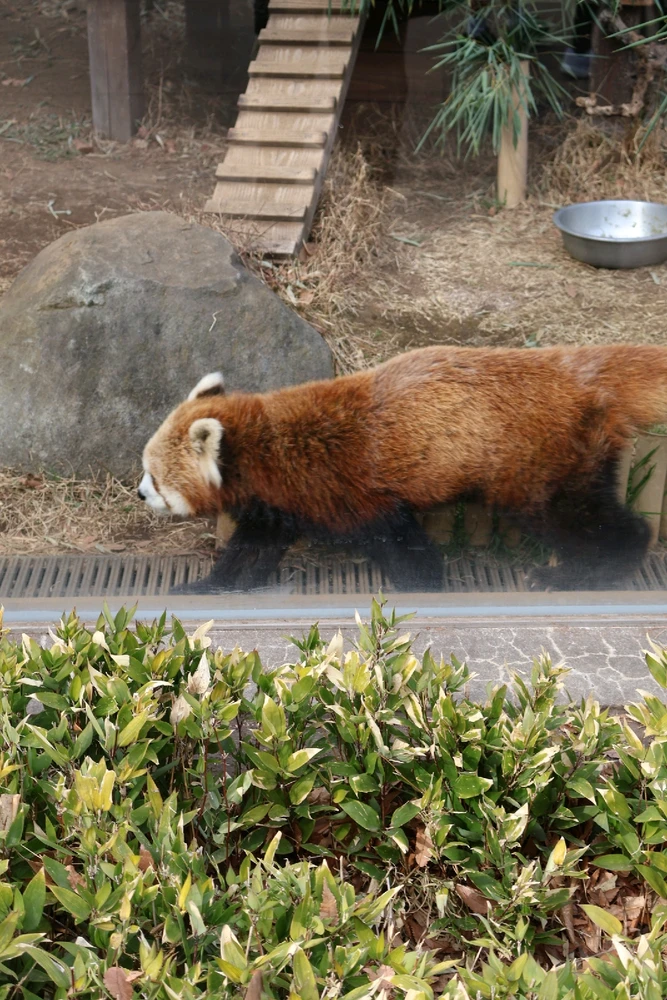 Image uploaded by Shawn