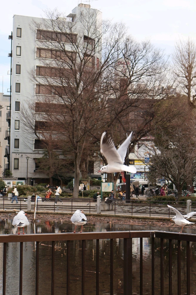 Image uploaded by Shawn