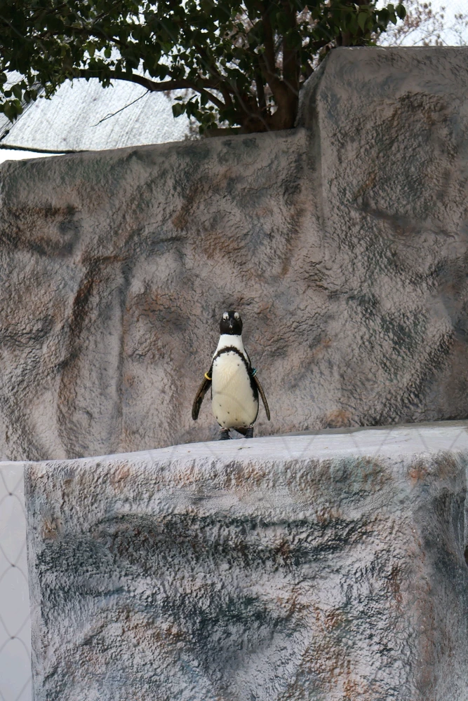 Image uploaded by Shawn