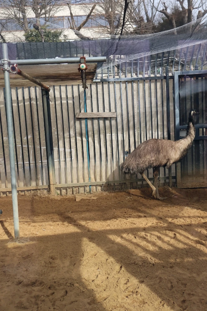 Image uploaded by Shawn