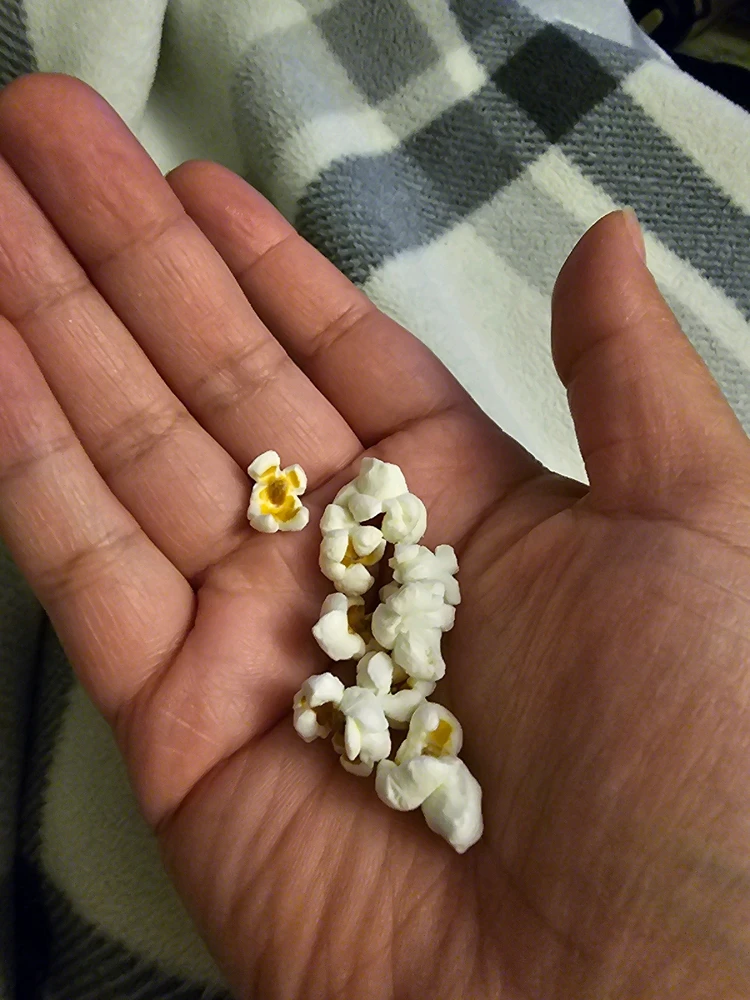 GIF uploaded by Sarah