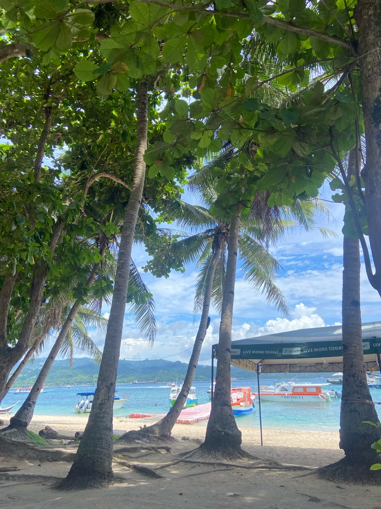 Image uploaded by Lyn