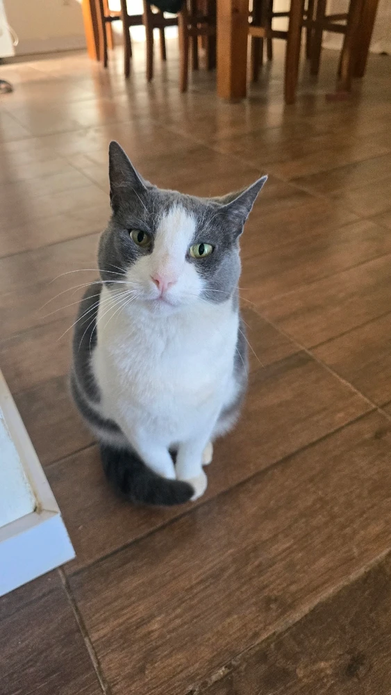 GIF subido por Paula