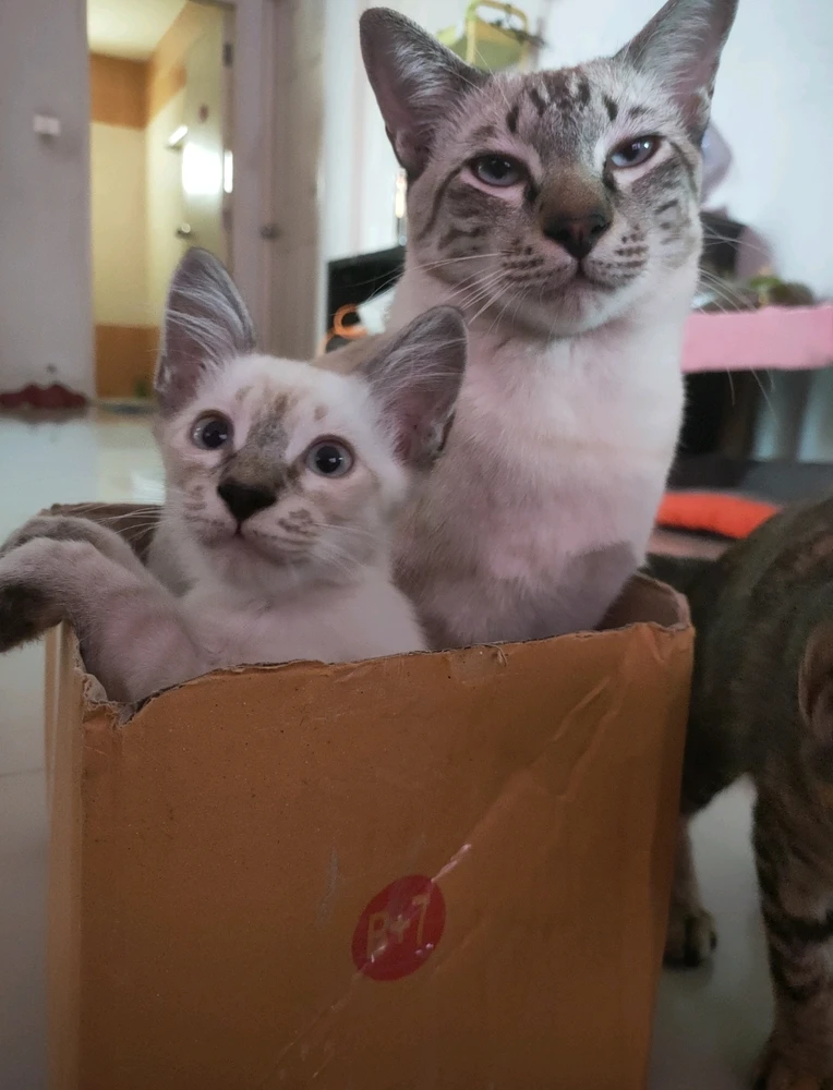 GIF uploaded by Jellyfish