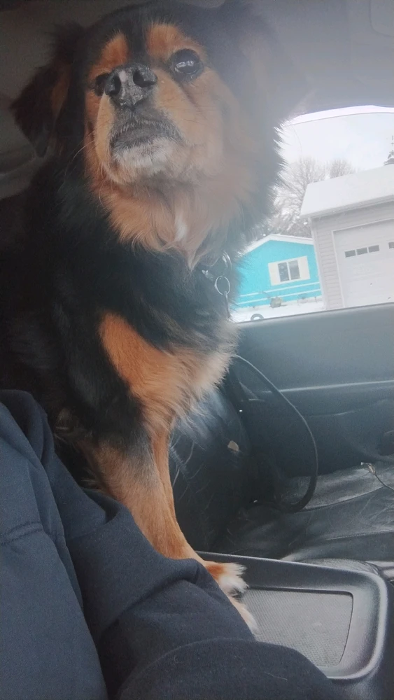 GIF uploaded by Darrell