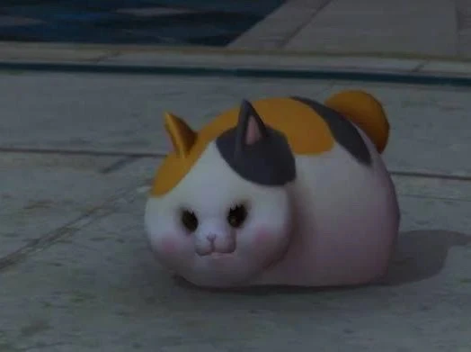 Image uploaded by Viviana