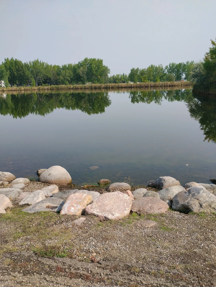 GIF uploaded by Darrell