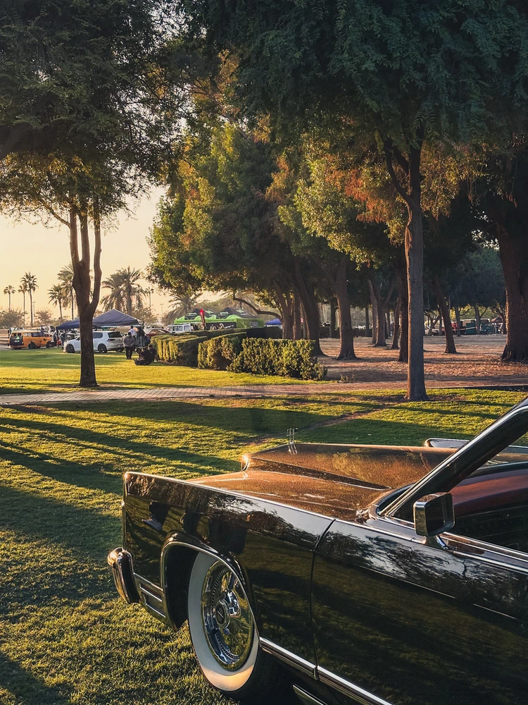 Image uploaded by Kaif