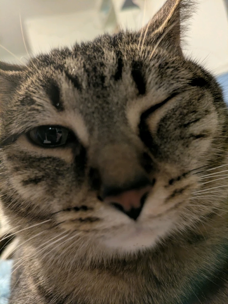 GIF uploaded by Ashton