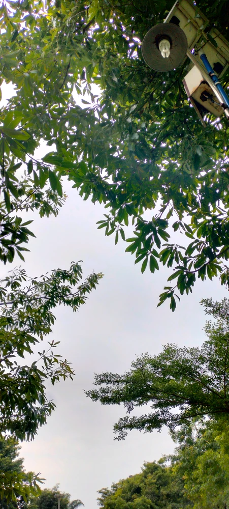 Mega님이 올린 GIF