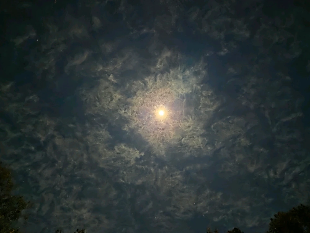 GIF uploaded by Amdrew j