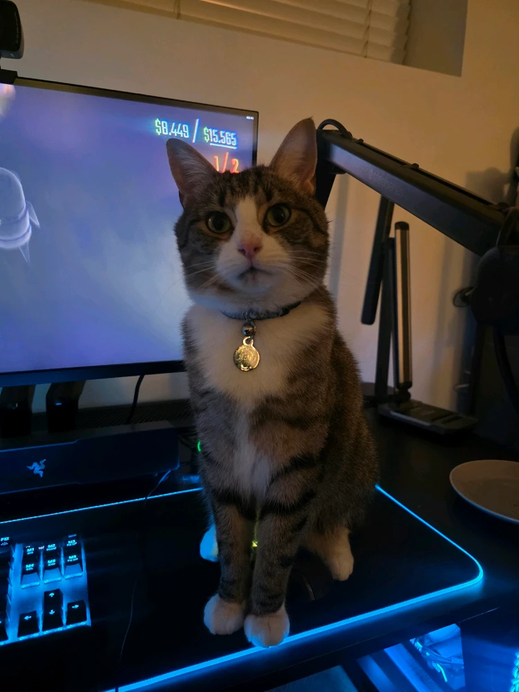 GIF uploaded by Travis