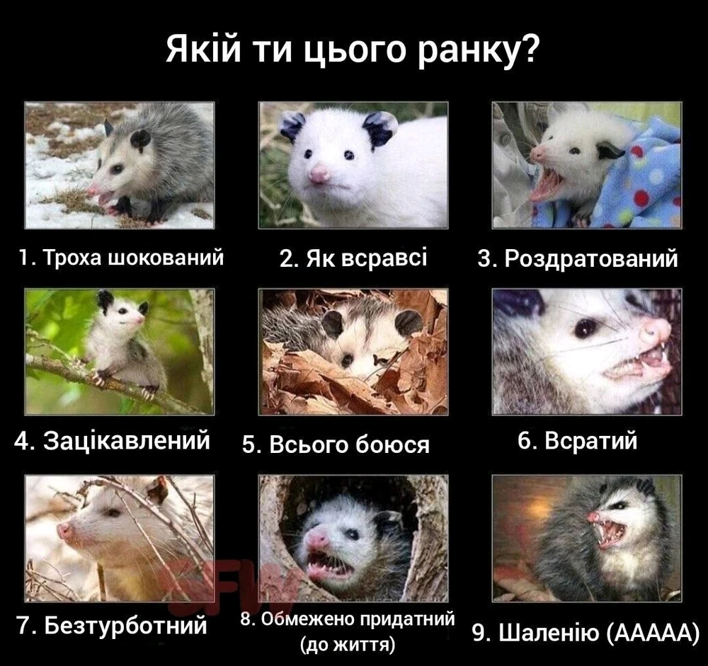 Гіфку завантажив Іван