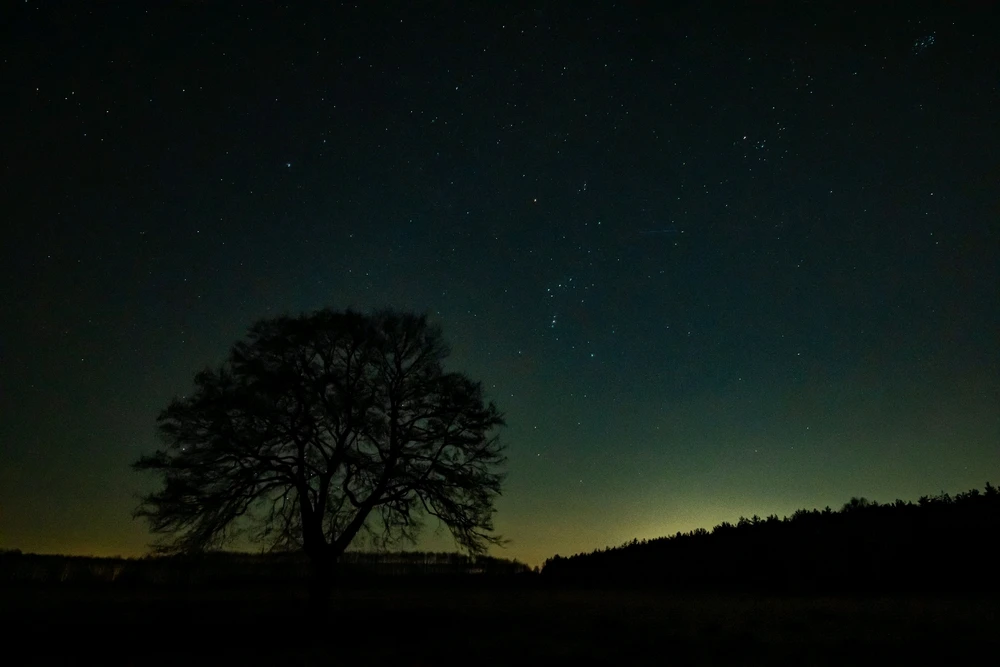 GIF dodany przez Jarek