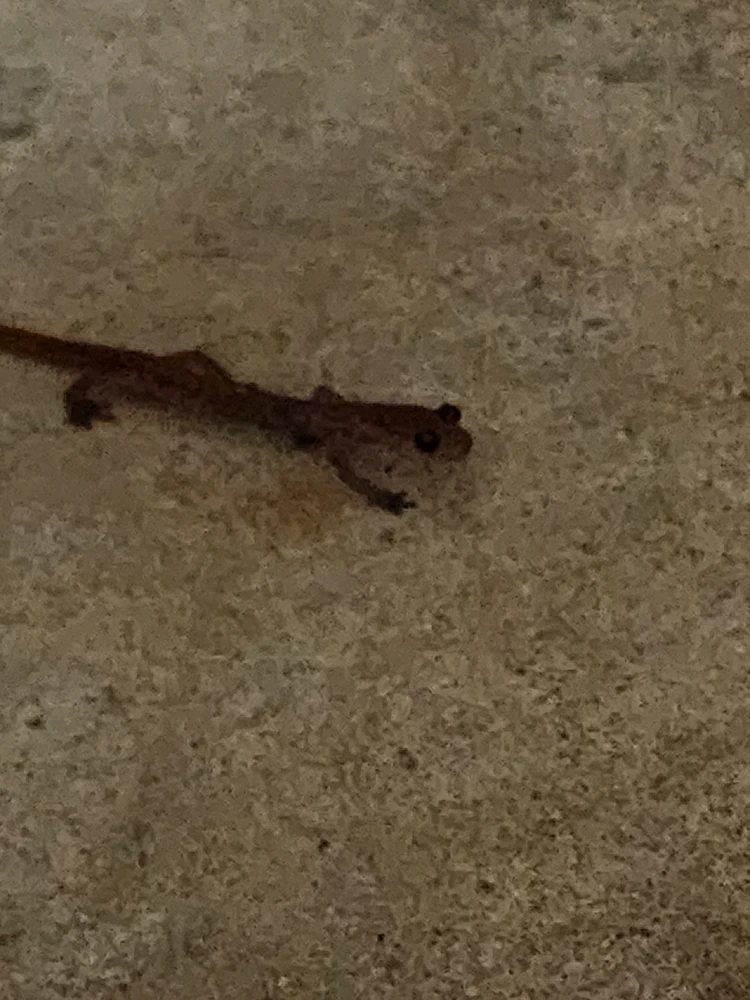 GIF uploaded by Dalton