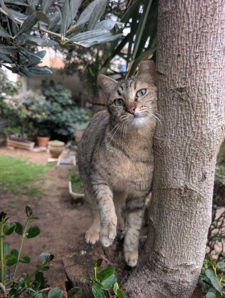 GIF uploaded by Aviv