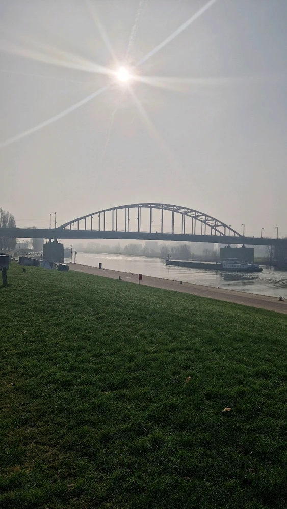 Image uploaded by Tuyan