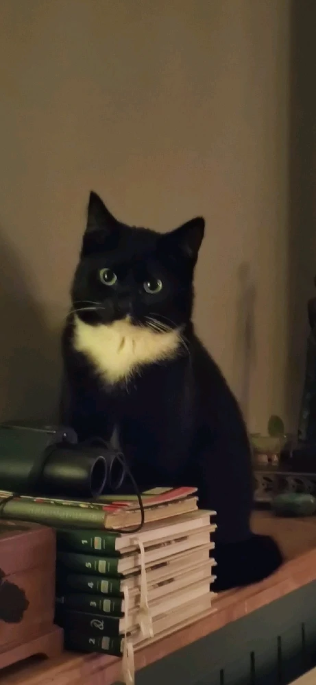 Image uploaded by Tuyan