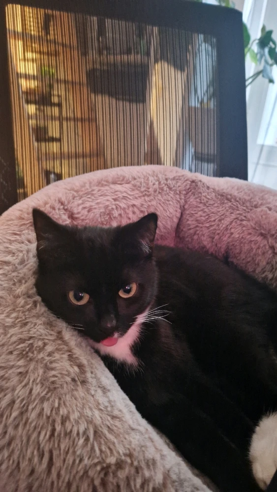 Image uploaded by Tuyan