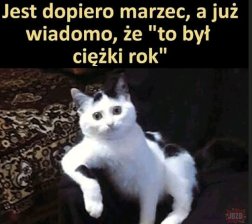 GIF dodany przez Łukasz