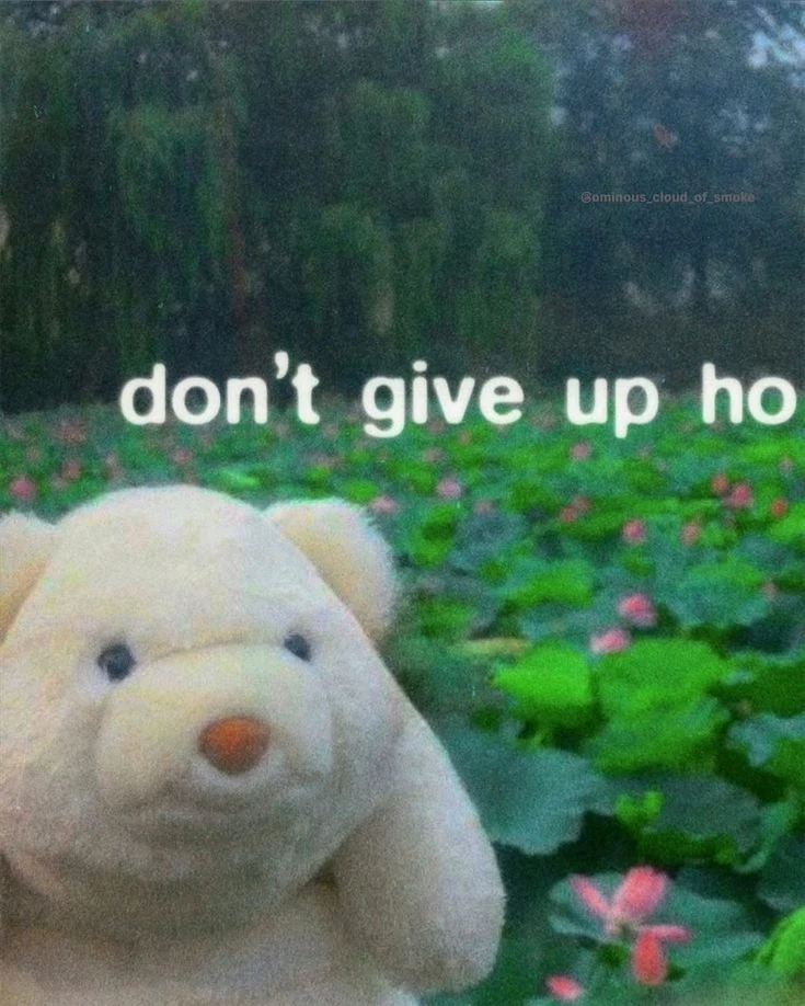 Image uploaded by Danny