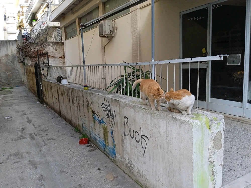 GIF ανέβηκε από Dionysis