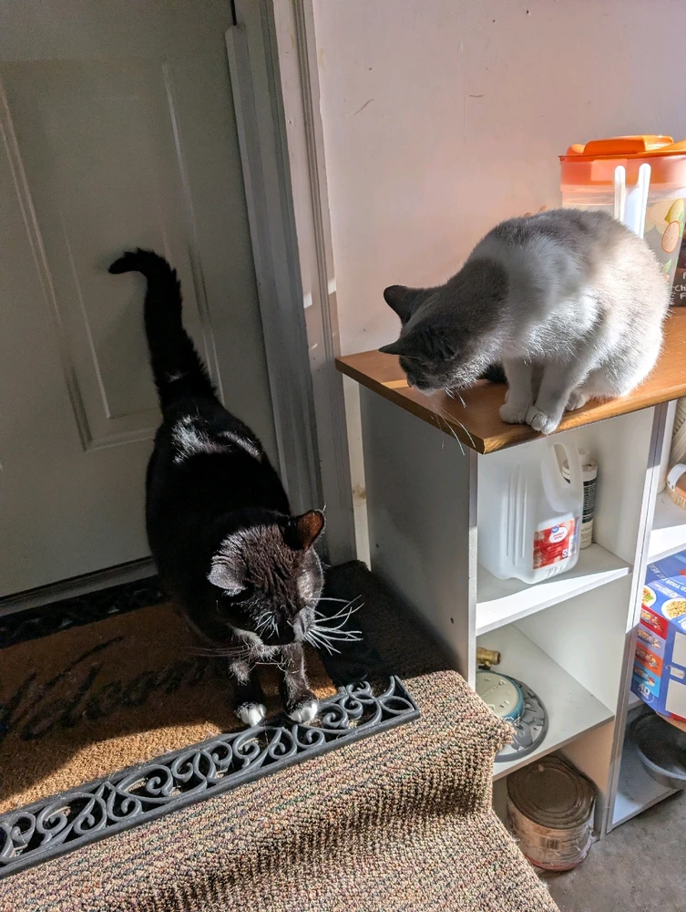 GIF uploaded by Steph