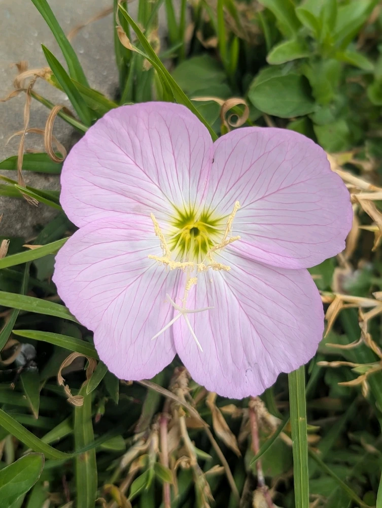 GIF uploaded by Aviv