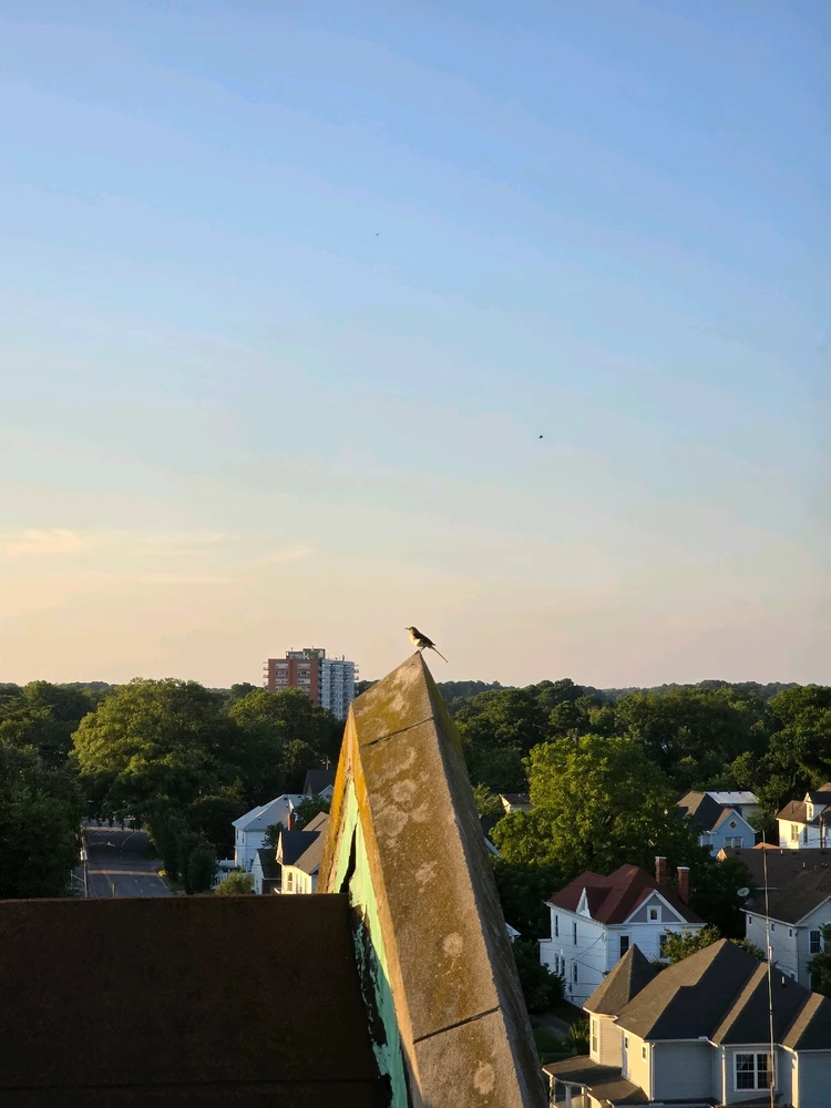 Image uploaded by Rigoberto