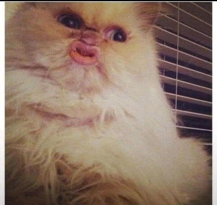 GIF uploaded by Deen