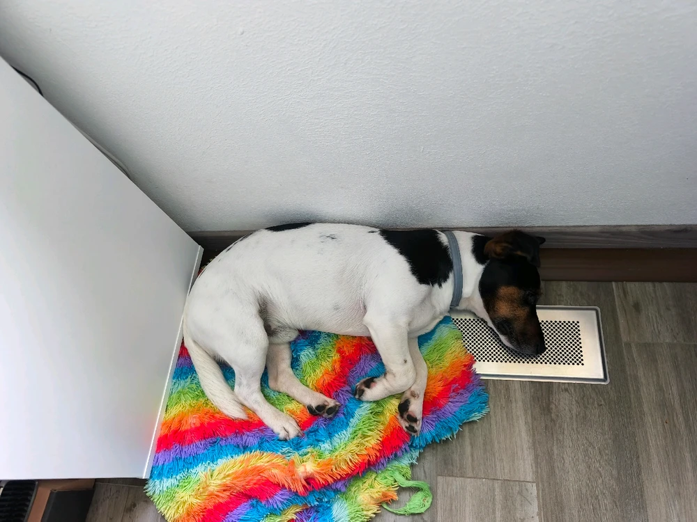 GIF hochgeladen von Ⓜ️🅰️NuEl