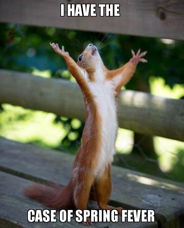 GIF uploaded by 🌙✨ℳℯ𝓁𝒶𝓃𝒾𝓆𝓊ℯ✨🌙