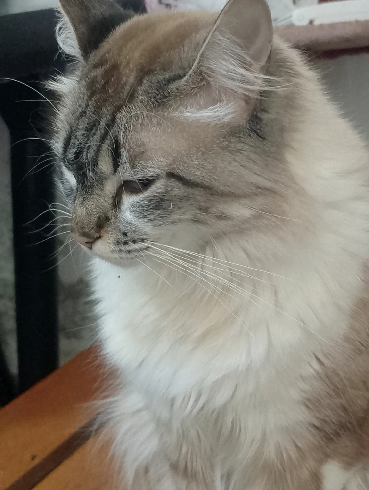 GIF enviado por Gabriel