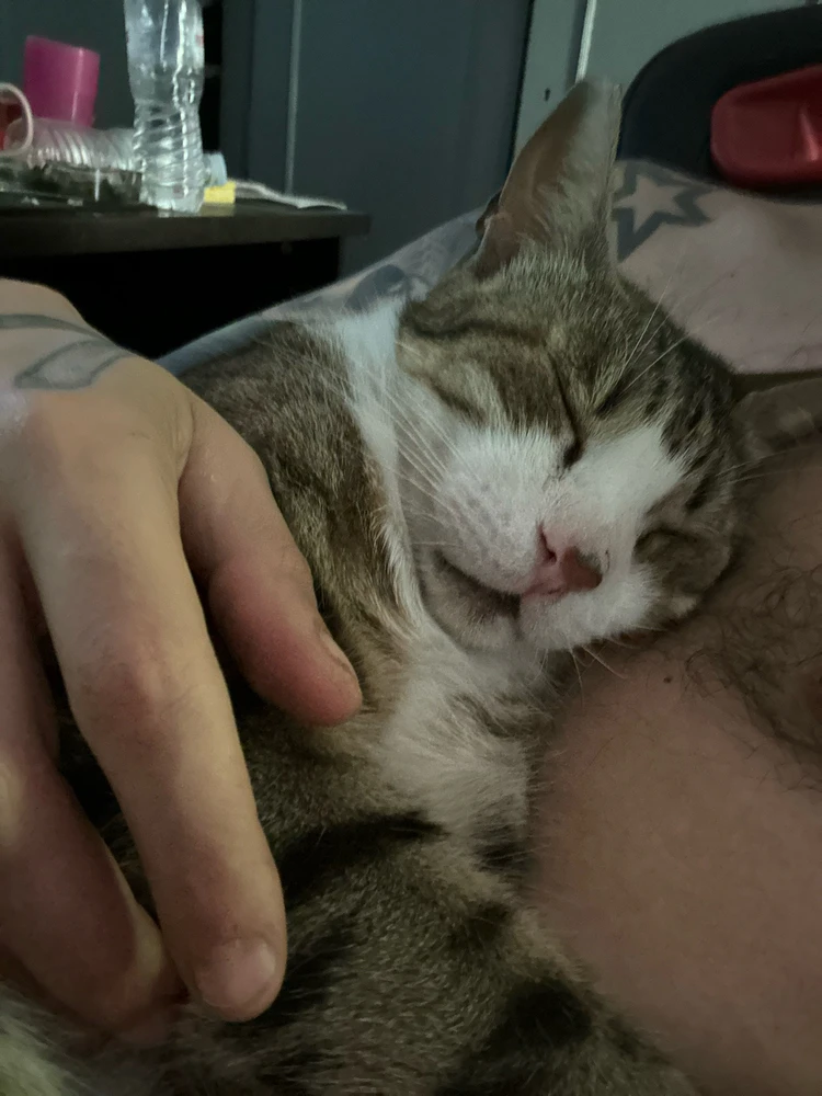 GIF uploaded by Alex